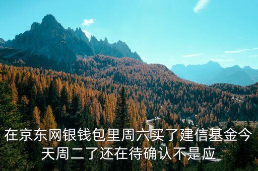 002378建信什么時(shí)候確認(rèn)份額，在京東網(wǎng)銀錢包里周六買了建信基金今天周二了還在待確認(rèn)不是應(yīng)