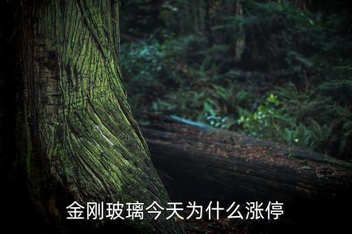 金剛玻璃什么時候開盤，金剛玻璃今天為什么漲停