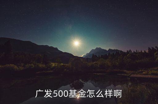 廣發(fā)500凈值為什么很低，廣發(fā)500基金怎么樣啊