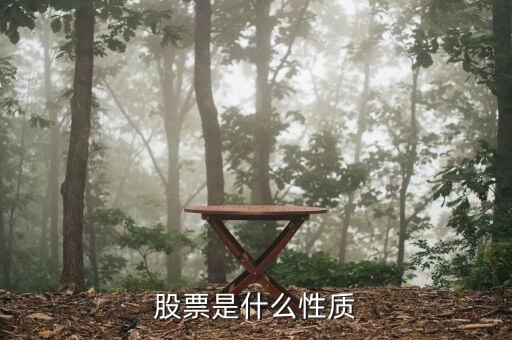股票性質(zhì)是什么，股票的性質(zhì)有哪些