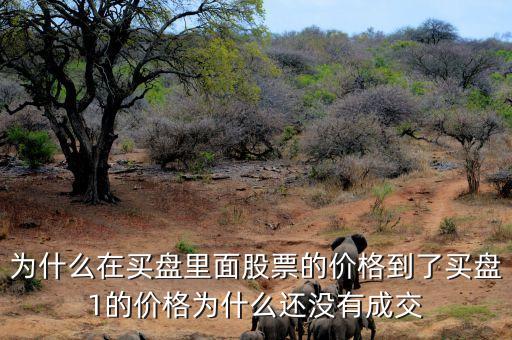 為什么股票買(mǎi)一價(jià)不交易，為什么在買(mǎi)盤(pán)里面股票的價(jià)格到了買(mǎi)盤(pán)1的價(jià)格為什么還沒(méi)有成交
