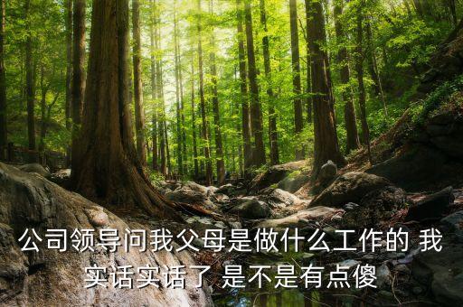 公司問父母是做什么的，公司領(lǐng)導(dǎo)問我父母是做什么工作的 我實(shí)話實(shí)話了 是不是有點(diǎn)傻