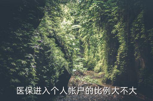 醫(yī)?？▊€(gè)人賬戶按什么比例，醫(yī)?？ń痤~按什么比例劃入賬戶
