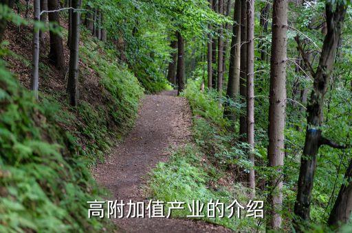 什么是高附加值產(chǎn)業(yè)，高附加值產(chǎn)業(yè)的介紹
