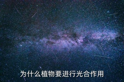 為什么要水光互補，為什么人體中要用水來補充