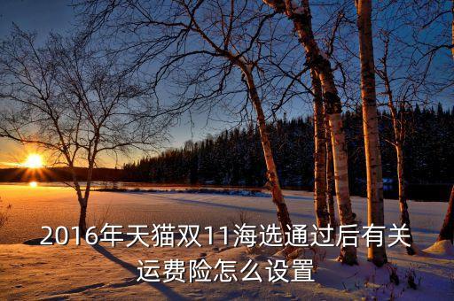 2016年天貓雙11海選通過后有關(guān)運費險怎么設(shè)置