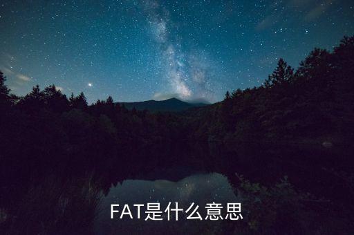 fatca指什么，F(xiàn)AT是什么意思