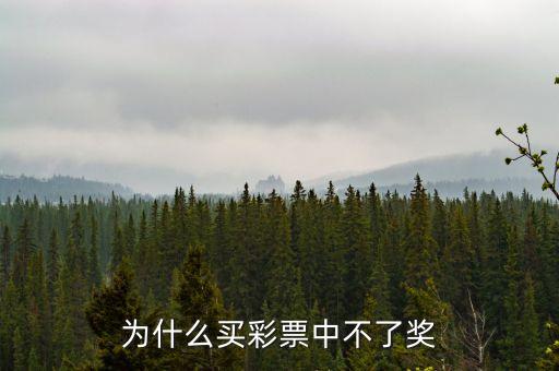 買(mǎi)彩票為什么不中獎(jiǎng)，彩票為什么不中獎(jiǎng)
