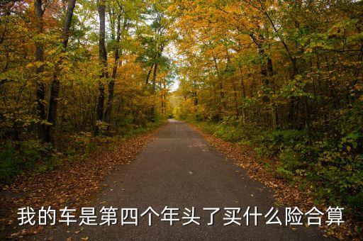 我的車(chē)是第四個(gè)年頭了買(mǎi)什么險(xiǎn)合算