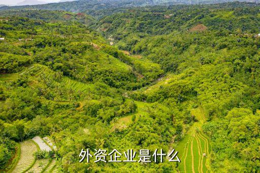 什么是外資，什么是外資公司