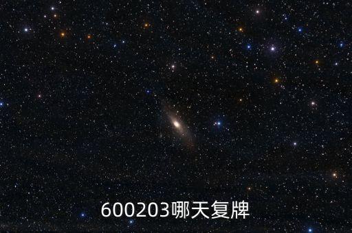 長百集團什么時候復牌，000560各位大神知道啥時候復牌