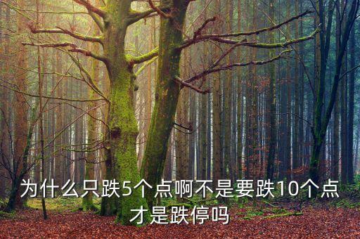 股票跌5個(gè)點(diǎn)是什么概念，股票什么的說升或降五個(gè)點(diǎn)是什么意思
