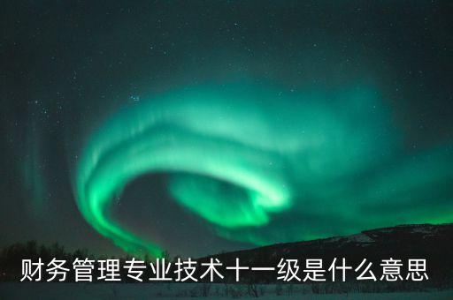 財務管理專業(yè)技術(shù)十一級是什么意思