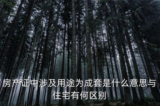 什么是成套項(xiàng)目，什么叫中型成套工程項(xiàng)目
