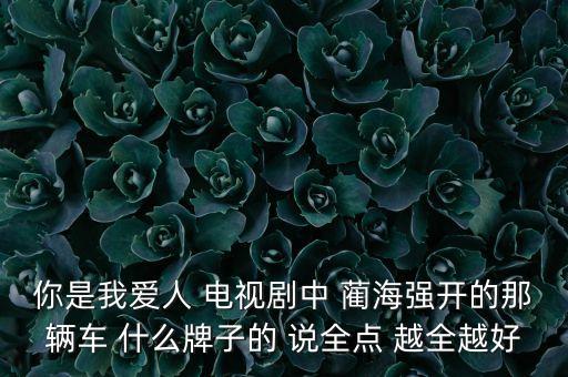 150093是什么車，你是我愛人 電視劇中 藺海強(qiáng)開的那輛車 什么牌子的 說全點 越全越好
