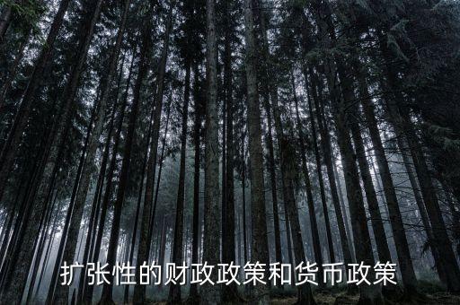 擴(kuò)張性的財政政策和貨幣政策