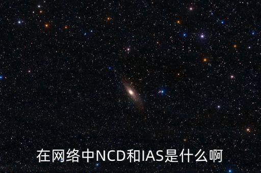 ncd因子是什么意思，在網(wǎng)絡(luò)中NCD和IAS是什么啊