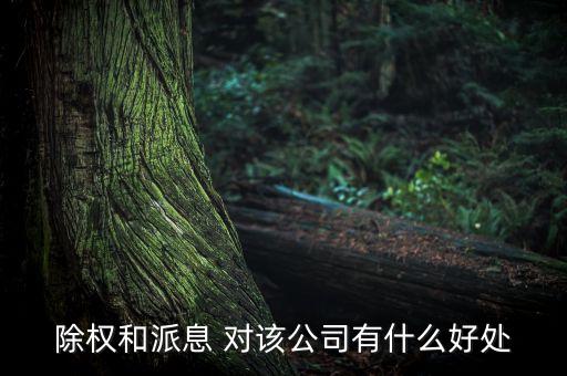 除權對公司有什么好處，除權和派息 對該公司有什么好處