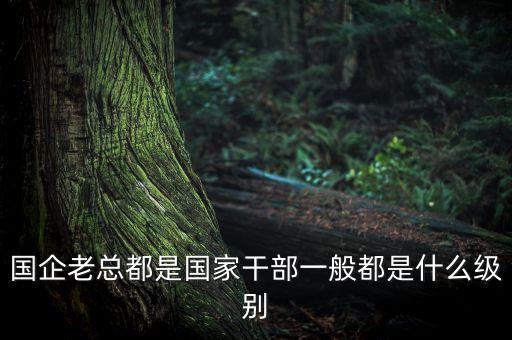 中國人壽董事長什么級別，國企老總都是國家干部一般都是什么級別