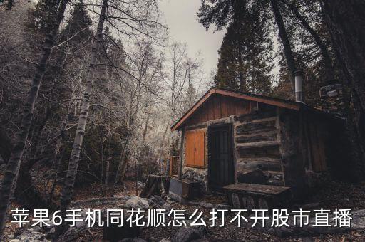 蘋果6手機(jī)同花順怎么打不開股市直播