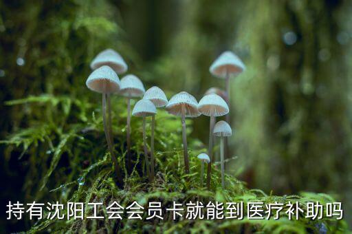 沈陽(yáng)建行工會(huì)卡什么用，工會(huì)會(huì)員服務(wù)卡有什么用