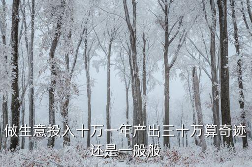 投資7000元年賺30萬是什么意思，做生意投入十萬一年產(chǎn)出三十萬算奇跡還是一般般