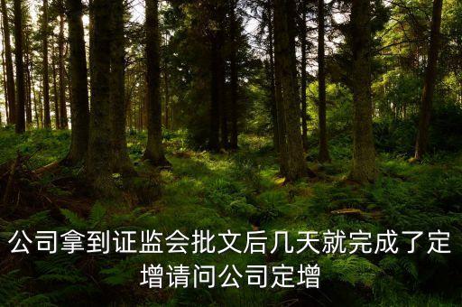 002194定向增發(fā)股票什么時(shí)候?qū)嵤?，股票定向增發(fā)預(yù)案到實(shí)施一般需要多少天