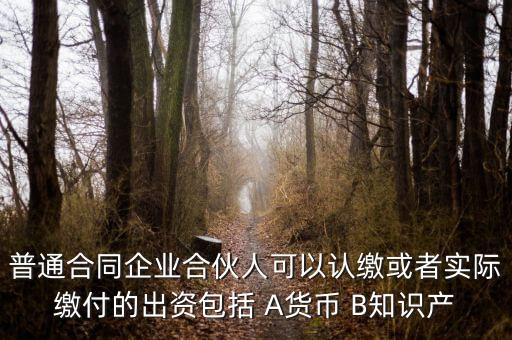 普通合同企業(yè)合伙人可以認(rèn)繳或者實(shí)際繳付的出資包括 A貨幣 B知識(shí)產(chǎn)