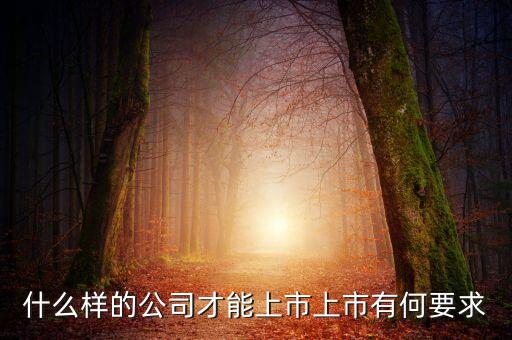 什么樣的公司可以上市，什么樣的公司才能上市上市有何要求