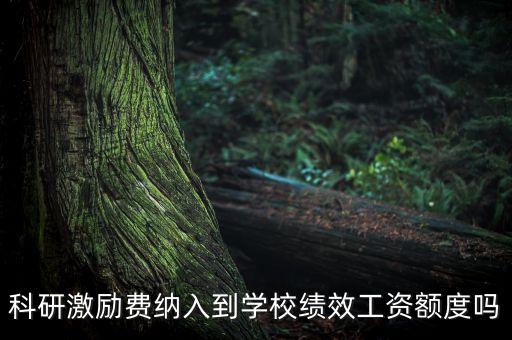 科研激勵(lì)費(fèi)納入到學(xué)?？?jī)效工資額度嗎