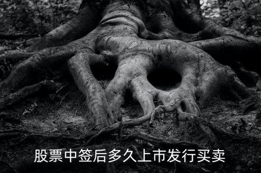 300512什么時(shí)候上市交易，股票中簽后多久上市發(fā)行買賣