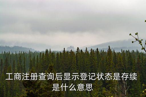工商注冊(cè)查詢(xún)后顯示登記狀態(tài)是存續(xù) 是什么意思