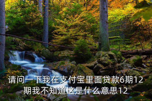 12天沃債什么意思，12digits的意思是什么
