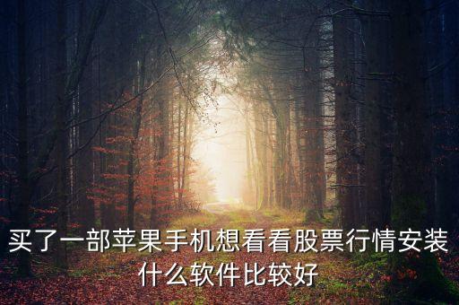 買(mǎi)了一部蘋(píng)果手機(jī)想看看股票行情安裝什么軟件比較好