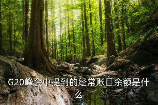 什么是經(jīng)常項(xiàng)目余額，經(jīng)常項(xiàng)目差額的什么是經(jīng)常項(xiàng)目差額