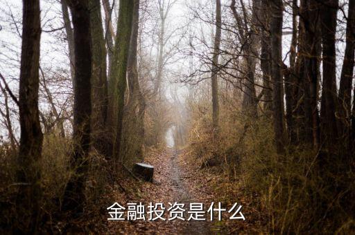 保險(xiǎn)公司金融投資是做什么的，保險(xiǎn)公司理財(cái)公司是干什么的