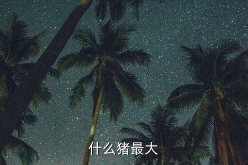 什么豬最大能長40金，什么豬最大