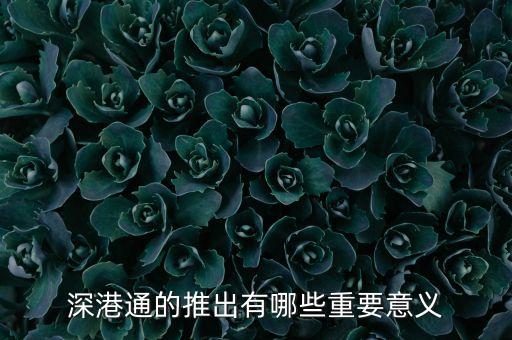 深港通的推出有哪些重要意義
