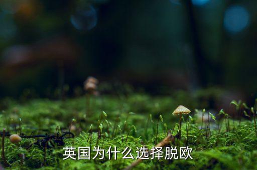 為什么英國要脫歐公投，英國為什么選擇脫歐