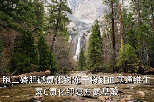 胞二磷膽堿氯化鈉凍干粉針血塞通維生素C氯化鉀復方氨基酸
