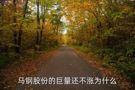 馬鋼集團為什么還不倒，馬鋼集團為什么沒排在世界500強中