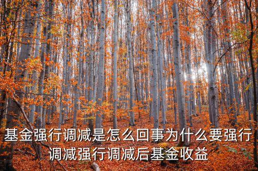 基金強(qiáng)減會(huì)對(duì)基金產(chǎn)生什么影響，強(qiáng)行調(diào)減對(duì)原有基金持有人是否有損害