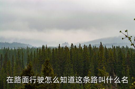 什么叫路條，什么叫做條條道路通羅馬