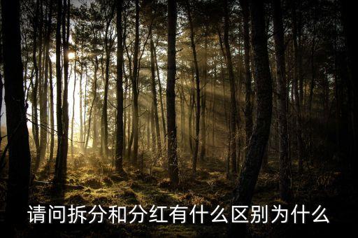 請(qǐng)問(wèn)拆分和分紅有什么區(qū)別為什么
