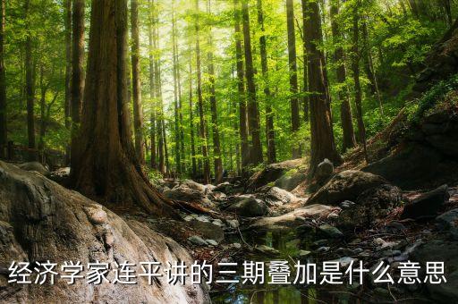 經(jīng)濟學家連平講的三期疊加是什么意思