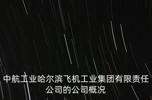 哈飛生產什么飛機，成飛 陜飛 哈飛 沈飛那個是中國最大的飛機制造企業(yè)