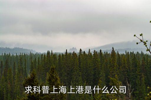 上港集團費收是做什么的，四川汶川地震上港集團捐了多少錢