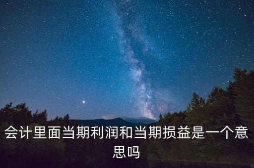 當期利潤是指什么意思，當期利潤當期應付利息等等中的當期是什么含義