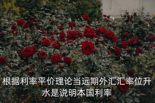 根據(jù)利率平價理論當(dāng)遠(yuǎn)期外匯匯率位升水是說明本國利率