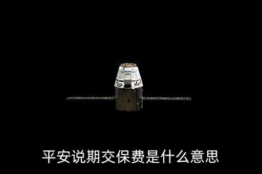 平安說期交保費是什么意思
